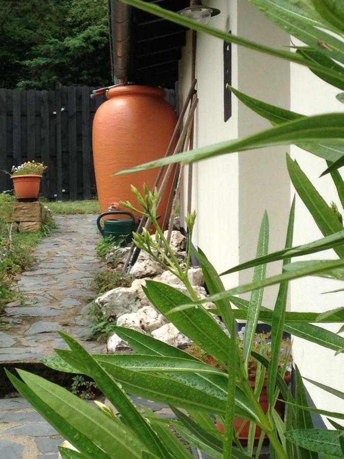 Ferienwohnung Künstlerhäuschen Oberwesel Exterior foto