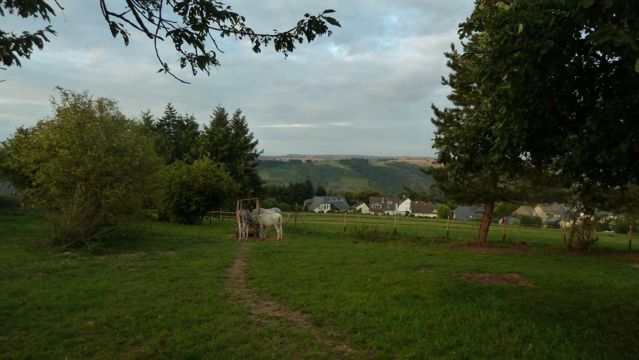 Ferienwohnung Künstlerhäuschen Oberwesel Exterior foto